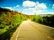 road - summer - sunny day