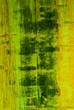 grunge grunge