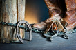 Cowboy boots,horseshoe,whip and spurs on wood