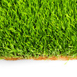 healthy grass pattern healthy grass pattern