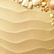 sea shells with sand as background