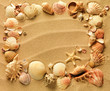 sea shells with sand as background