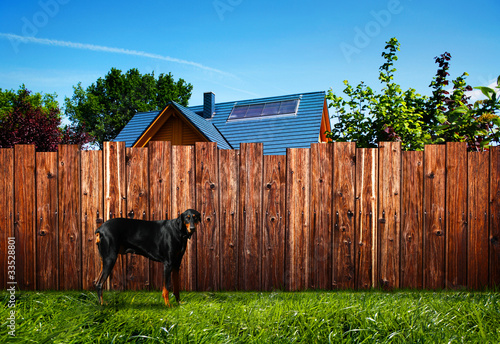 Photo: Neighborhood Neighborhood