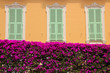 Fassade in Monaco