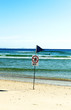 Don't Surf Hear