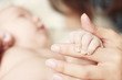 Mother's and baby's hands
