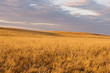 Beautiful sunset with heavy sky in steppe
