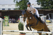 Springreiten