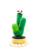Cactus Knitted doll Cactus Knitted doll