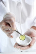 one slice of cucumber is being studied in the food laboratory