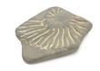 Ammonite trace on the stone on a white background