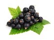 Beeren