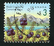 postage stamp