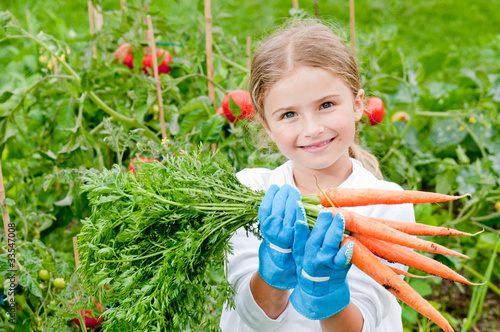 Foto: Little gardener in vegetables garden Little gardener in vegetables garden