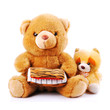 Photo: Plush toy animals isolated on a white background Plush toy animals isolated on a white background