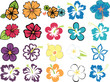 set of colorful hibiscuses and plumeria