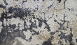Photo: Abstract background Abstract background