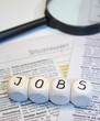 Jobsuche Lupe