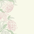 Hand drawing tenderness peony flowers frame.