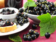 Schwarze Johannisbeeren