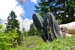 Wanderschuhe im Gras