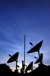 Photo: Satelite Dishes Satelite Dishes