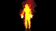 Video: Fire dancing Fire dancing