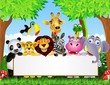 Animal cartoon and blank sign