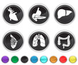 human organs,each color icon is set on a different layer human organs,each color icon is set on a different layer