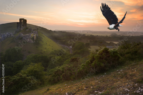 Foto: African fish eagle in flight over magical castle landscape African fish eagle in flight over magical castle landscape