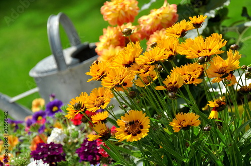 Foto: Sommer Sommer