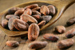 Fèves de cacao Fèves de cacao