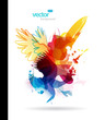 Abstract colorful splash illustration. Abstract colorful splash illustration.