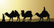 vector illustration of camels and bedouins in desert