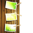 green foliage photos pinned to a rope