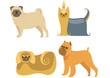 Cartoon Dogs collection