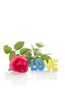 Red Rose and the text of "LOVE"