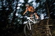 mountain biker in the forest in action
