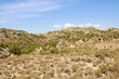 paisaje de secano mediterraneo