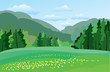 Green meadow