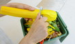 épluchures de légumes pour compost
