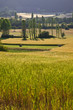Val de Sault (84) #2