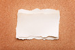 ripped piece of paper on cork board background ripped piece of paper on cork board background
