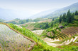 Rice terrace landscape in China (Longji, Guangxi) Rice terrace landscape in China (Longji, Guangxi)