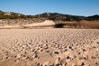 Sardinia, Italy: Olbia, sand dunes in Li Cuncheddi beach