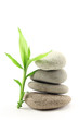 Bamboo leafs and zen stones