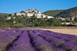Champ de lavande au pied du village de Banon