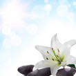 background with flower background with flower