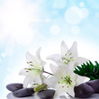 background with flower background with flower