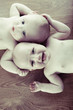 twins